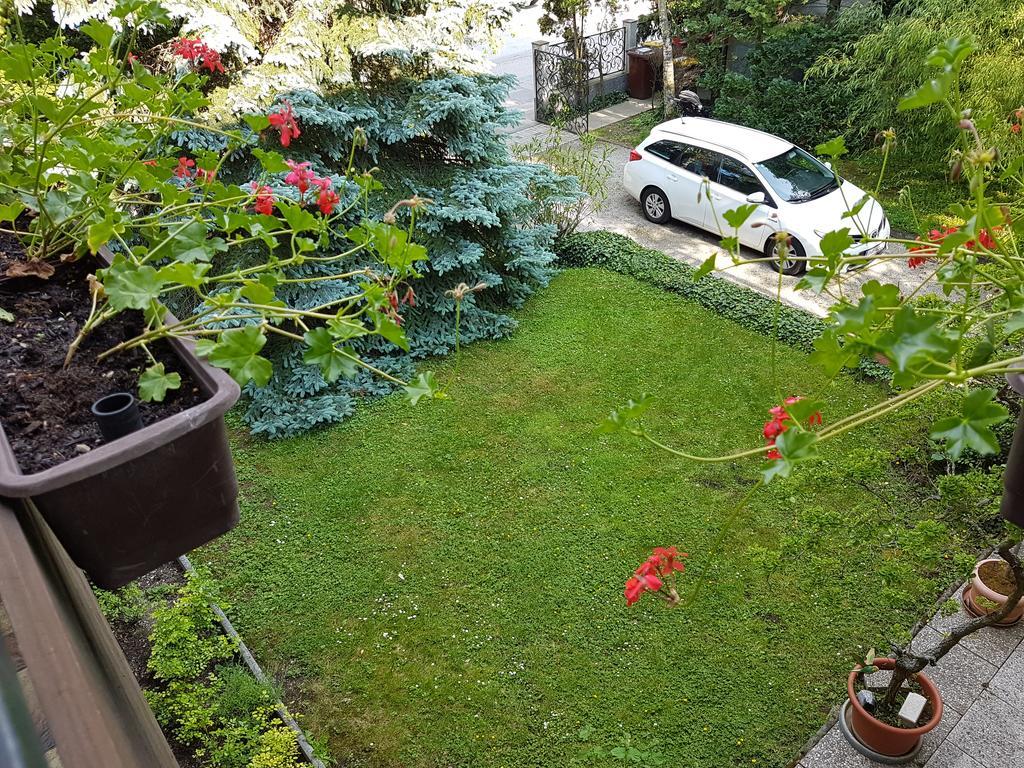 Helenental Pension & Apartments Baden bei Wien Zewnętrze zdjęcie