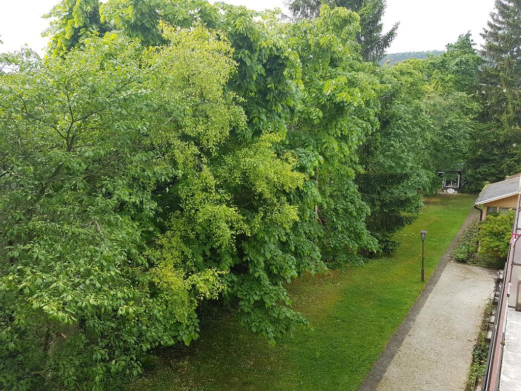 Helenental Pension & Apartments Baden bei Wien Zewnętrze zdjęcie